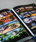 The Art of Point and Click Adventure Games by Bitmap Books