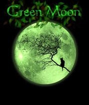 Green Moon Box Cover