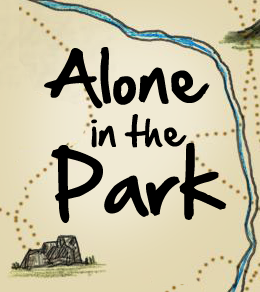 Alone in the Park Box Cover