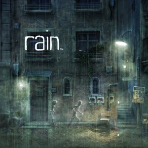 rain Box Cover