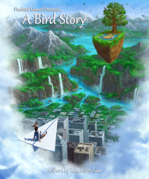 A Bird Story Box Cover