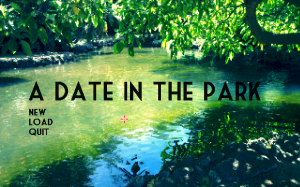 Date in the Park, A - Cover art
