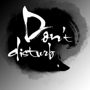 Don’t Disturb Box Cover