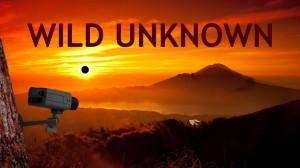 Wild Unknown Box Cover