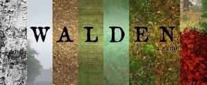 Walden, a game Box Cover