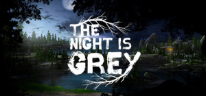 The Night is Grey Box Cover