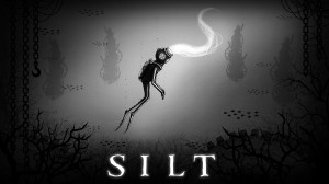 Silt Box Cover