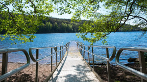 Amos Green's Final Repose - Screenshot #2