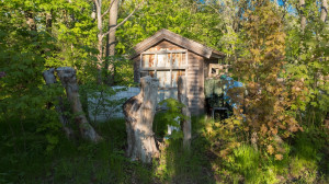 Amos Green's Final Repose - Screenshot #1