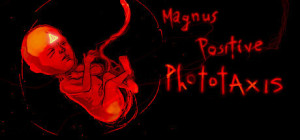 Magnus Positive Phototaxis Box Cover
