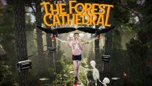 The Forest Cathedral Box Cover
