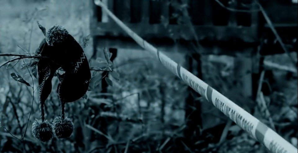 Contradiction review
