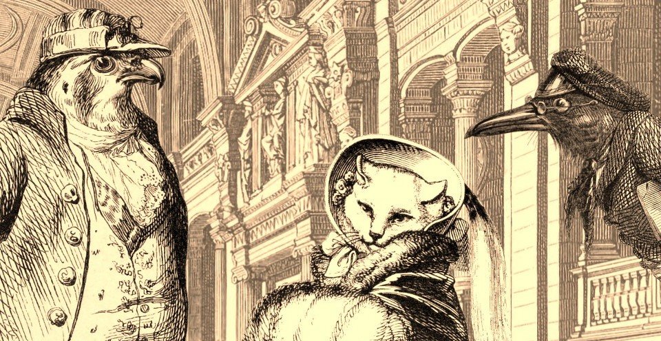 Aviary Attorney review