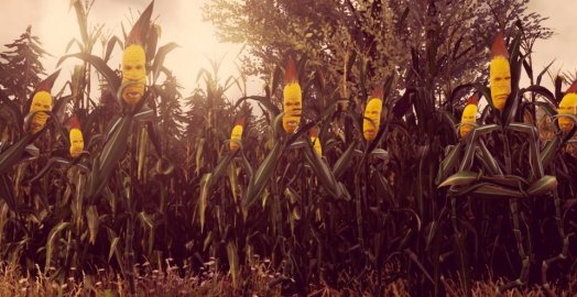 Maize review