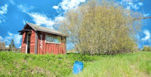 Murder Malady – A Carol Reed Mystery