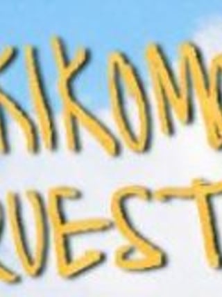 Hikkikomori Quest
