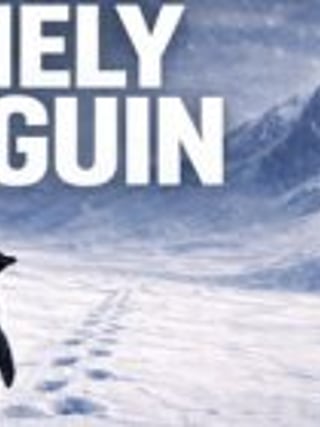 Lonely Penguin