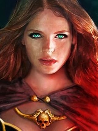 Wizard's Choice: Volume 1