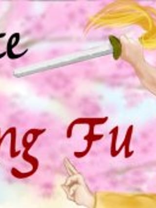 Choice of Kung Fu