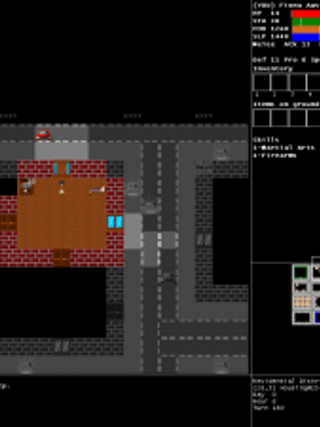 Rogue Survivor