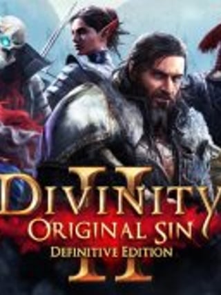 Divinity: Original Sin