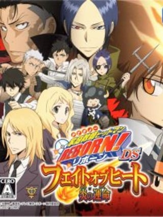 Katekyō Hitman Reborn! DS: Fate of Heat