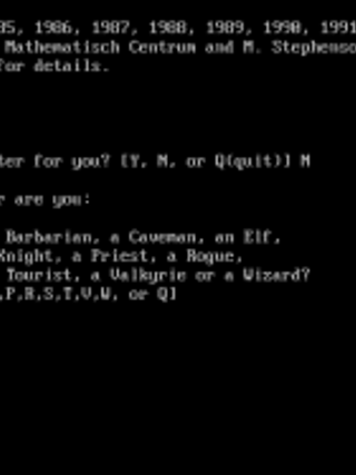 NetHack--