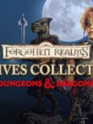 Dungeons & Dragons: Forgotten Realms - The Archives Collection 2