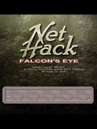 NetHack: Falcon's Eye