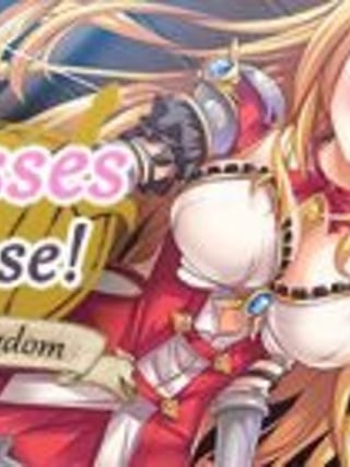 Princesses Never Lose!: Unify the Kingdom