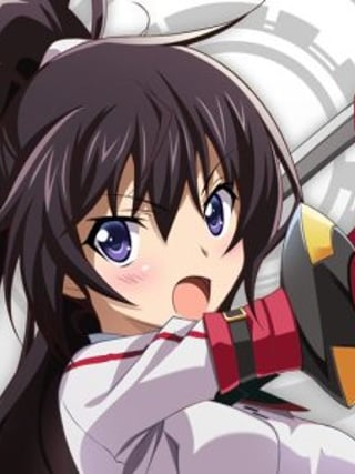 Infinite Stratos: Archetype Breaker