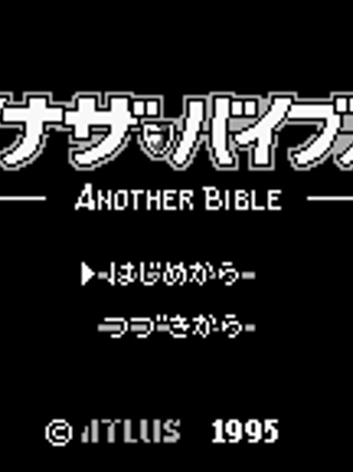 Another Bible