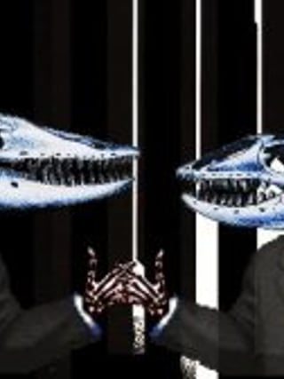 Gingiva
