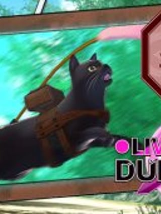Live in Dungeon