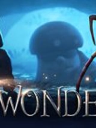Wonder Cat
