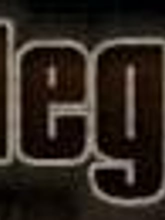 Bootleggers