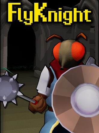FlyKnight
