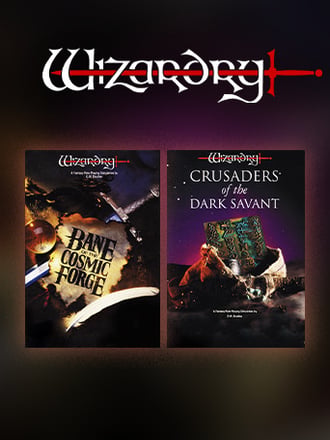 Wizardry 6+7
