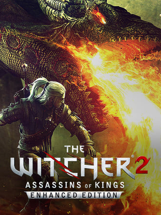 The Witcher 2: Assassins of Kings