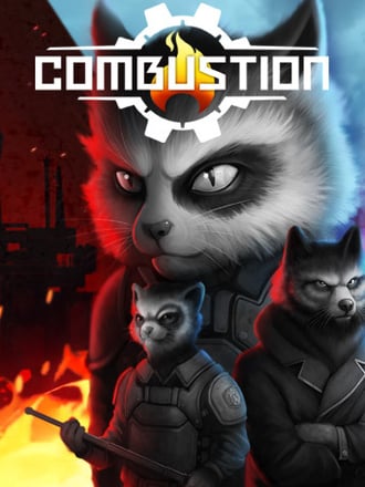 Combustion