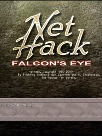NetHack: Falcon's Eye