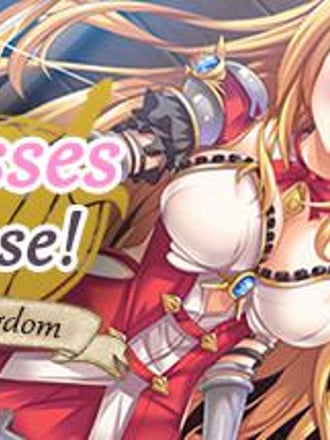 Princesses Never Lose!: Unify the Kingdom
