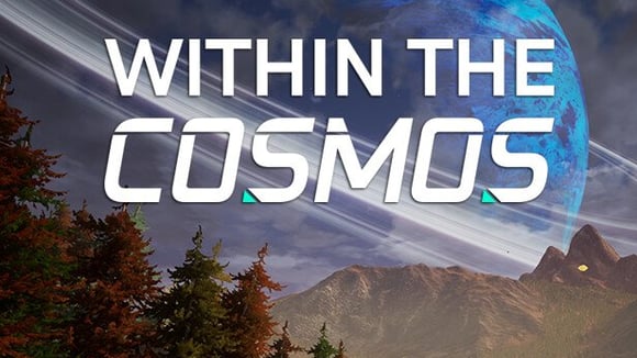 Within the Cosmos
