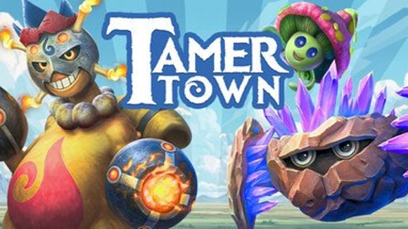 Tamer Town