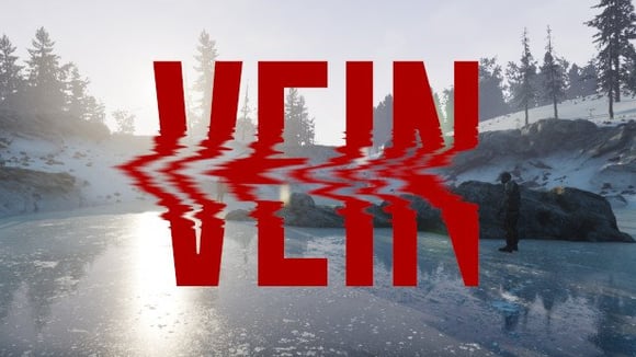VEIN