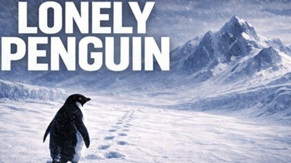 Lonely Penguin