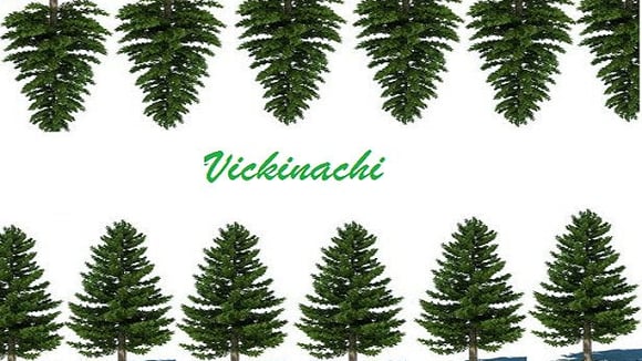 Vickinachi