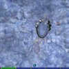 Spore - Screenshot #3