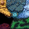 Guards II: Chaos in Hell - Screenshot #7