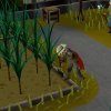 Old School RuneScape - Screenshot #8 Old School RuneScape - Screenshot #8